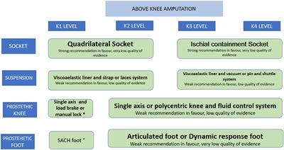 Development of a Clinical Practice Guideline for Lower Limb Amputees. A Knowledge Translation Process in a Middle Income Country